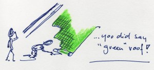 Green Roof cartoon SE